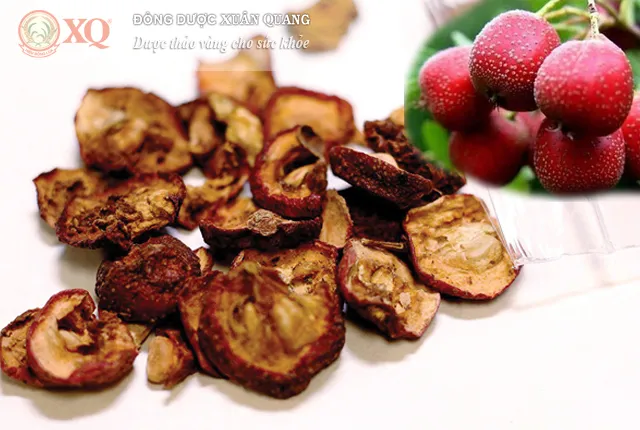 Sơn tra vị thuốc tiêu thực
